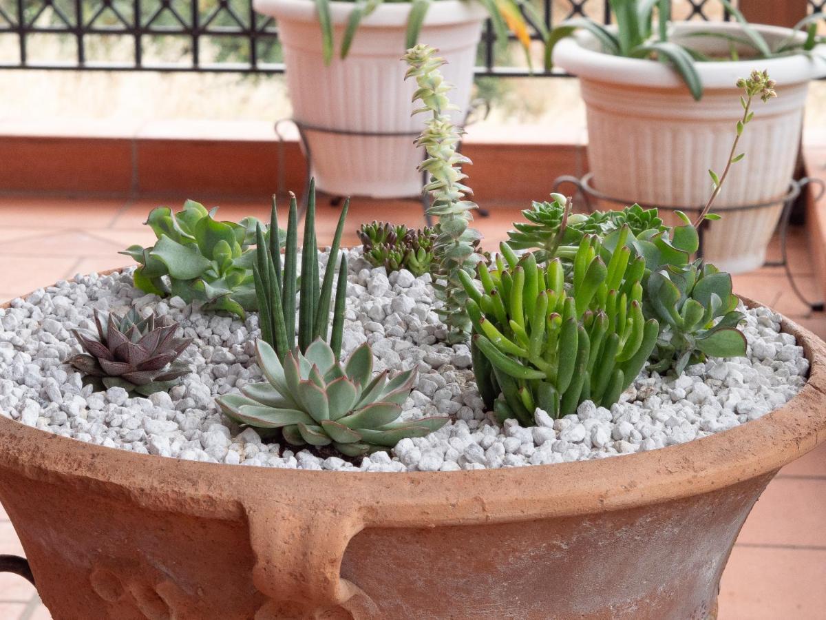 Villa Greco خيرسونِسوس المظهر الخارجي الصورة